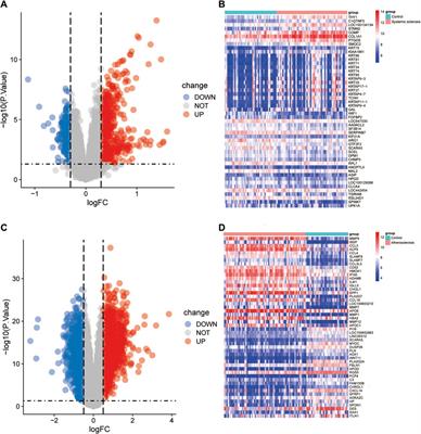 Relationships between systemic sclerosis and atherosclerosis: screening for mitochondria-related biomarkers